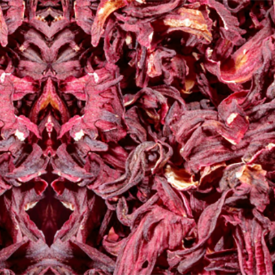 Hibiscus